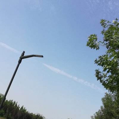 2024皇室奇兵最新版(clash mini)下载